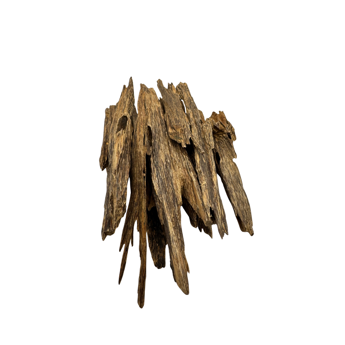 Brunei Luxury Oud Wood