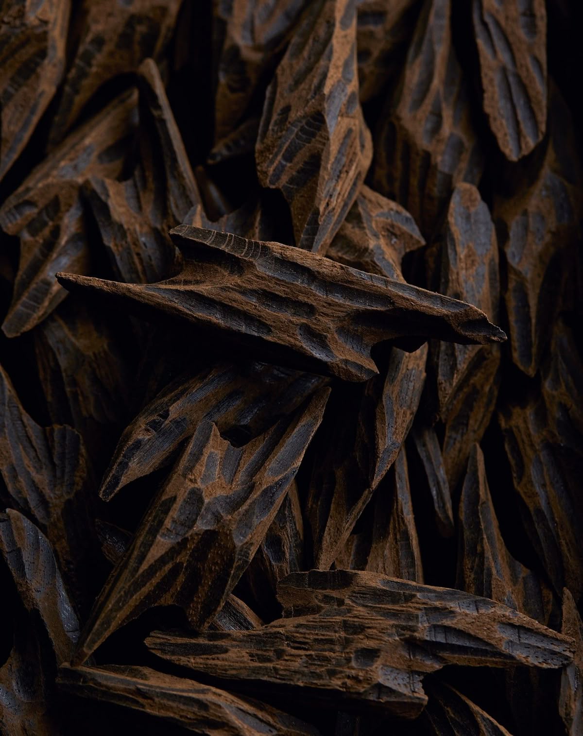 Understanding Oud Grade - What Salla, Duggha, Char and Silani Actually Tell You