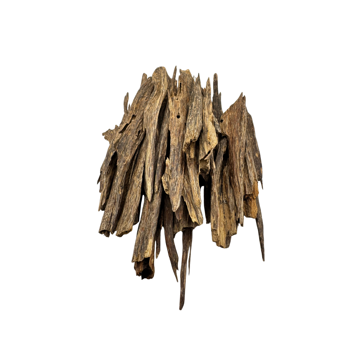 Indian Sella Oud Wood (WTB-01)