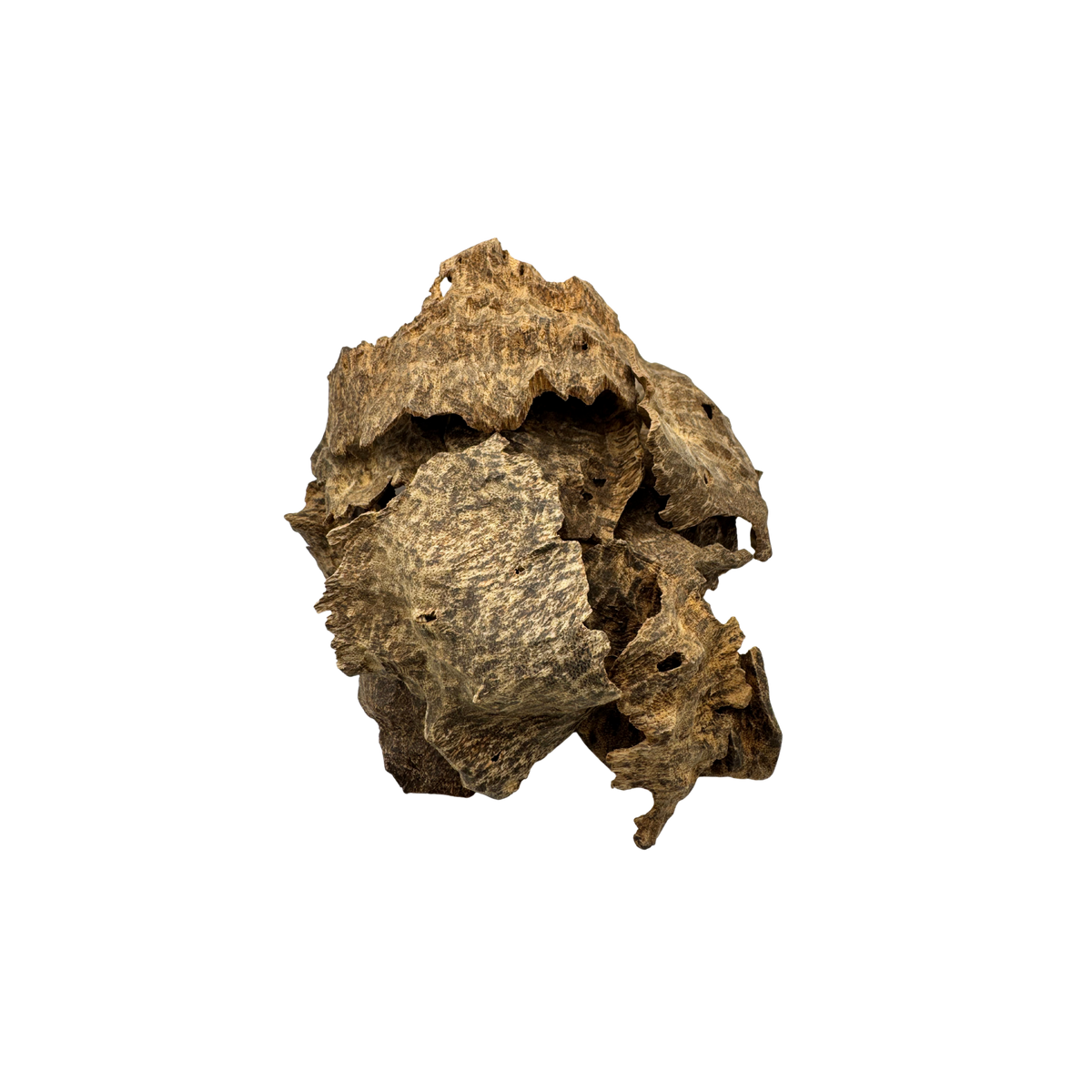 Malaysian Char Oud Wood (prem: ag-04)