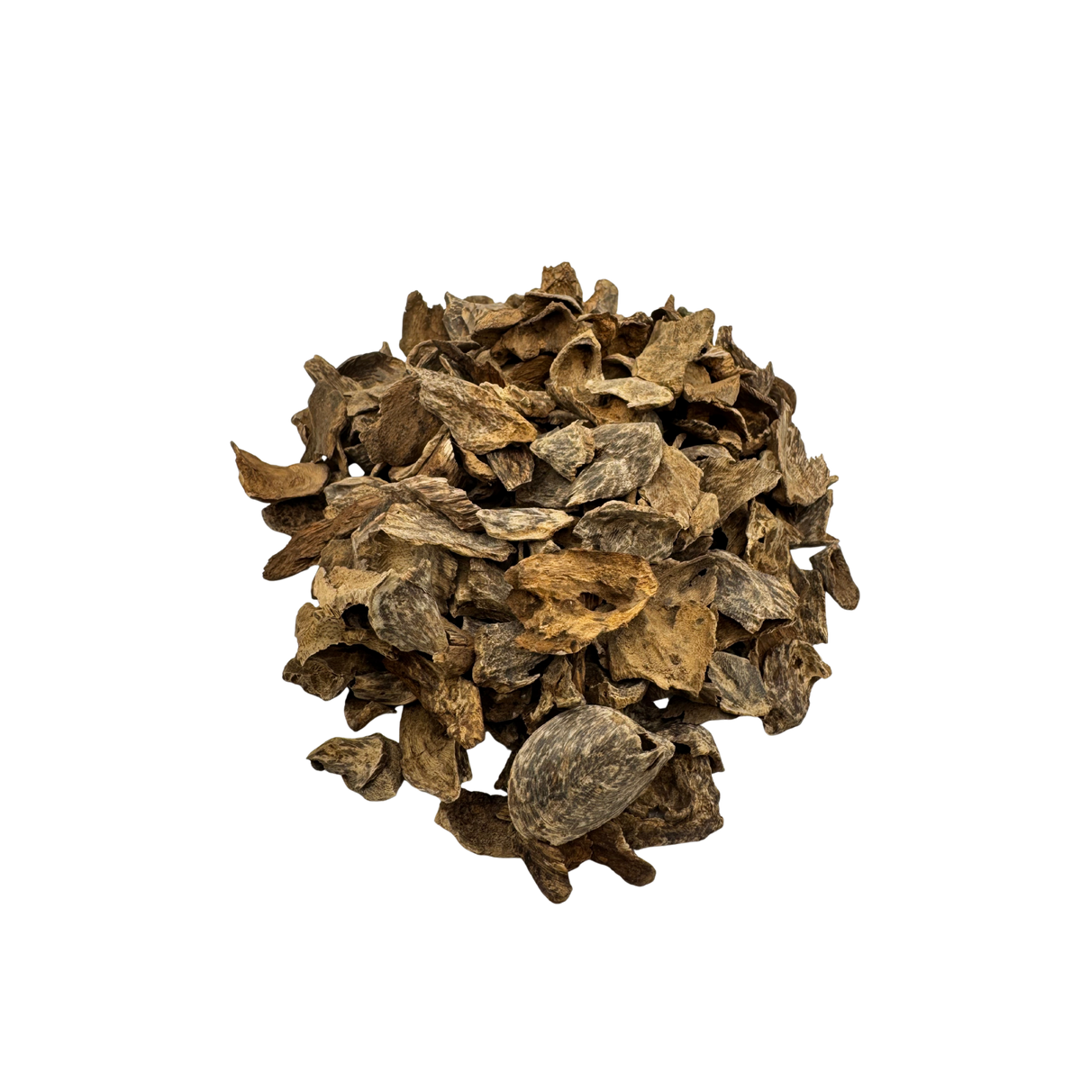Srilankan Silani Shell Oud Wood